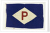 House flag, Purvis Shipping Co. Ltd by unknown