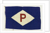 House flag, Purvis Shipping Co. Ltd by unknown