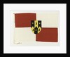 House flag, Sir R. Ropner & Co. (Management) Ltd by unknown