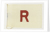 House flag, Red 'R' Steamship Co. Ltd by unknown