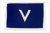 House flag, Societa Italiana Trasporti Marittimi by unknown