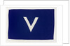 House flag, Societa Italiana Trasporti Marittimi by unknown