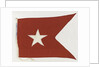 House flag, Thesen's Steam Ship Co. Ltd by unknown