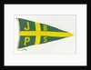 House flag, Jamaica Banana Producers Steamship Co. Ltd by unknown