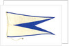 House flag, Atlantic Steam Navigation Co. Ltd by unknown