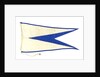 House flag, Atlantic Steam Navigation Co. Ltd by unknown