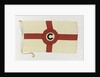 House flag, Constantine Lines by unknown