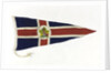 House flag, Canadian National Steamships by unknown