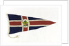 House flag, Canadian National Steamships by unknown