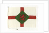 House flag, British Petroleum Tanker Co. Ltd by unknown