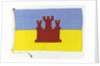 House flag, Bamburgh Shipping Co. Ltd by unknown