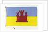 House flag, Bamburgh Shipping Co. Ltd by unknown
