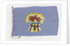 House flag, Sheaf Steam Shipping Co. Ltd by unknown