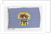 House flag, Sheaf Steam Shipping Co. Ltd by unknown