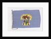 House flag, Sheaf Steam Shipping Co. Ltd by unknown
