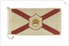 House flag, Saint Line Ltd (America) by unknown