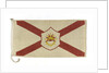 House flag, Saint Line Ltd (America) by unknown