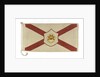House flag, Saint Line Ltd (America) by unknown