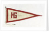 House flag, Hull Gates Shipping Co. Ltd by unknown