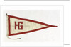 House flag, Hull Gates Shipping Co. Ltd by unknown