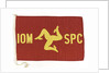 House flag, Isle of Man Steam Packet Co. Ltd by unknown