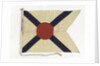 House flag, Rivers Steam Navigation Co. Ltd by unknown