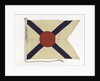 House flag, Rivers Steam Navigation Co. Ltd by unknown