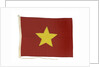 House flag, India Steamship Co. Ltd by unknown