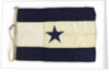House flag, Asiatic Steam Navigation Co. Ltd by unknown