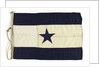 House flag, Asiatic Steam Navigation Co. Ltd by unknown