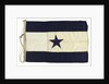 House flag, Asiatic Steam Navigation Co. Ltd by unknown