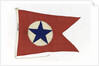 House flag, Blue Star Line Ltd by unknown