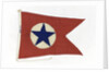 House flag, Blue Star Line Ltd by unknown