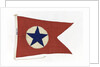House flag, Blue Star Line Ltd by unknown