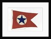 House flag, Blue Star Line Ltd by unknown