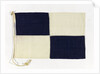 House flag, Cairn Line of Steamships Ltd by unknown