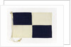 House flag, Cairn Line of Steamships Ltd by unknown