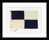 House flag, Cairn Line of Steamships Ltd by unknown