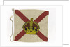 House flag, Royal Mail Steam Packet Co. by unknown