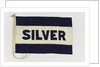 House flag, Silver Line Ltd by unknown