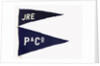 House flag, Ellerman-Papayanni Line by unknown