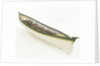 Full hull model, whaler, port stern quarter by unknown
