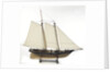 Schooner Yacht 'America' (1851) by unknown