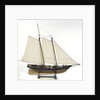 Schooner Yacht 'America' (1851) by unknown