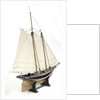 Schooner Yacht 'America' (1851) by unknown