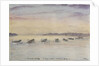 Gamla Carleby, June 7th 1854. The boats going in. by Dr Edward Hodges Cree