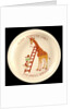 Bowl by G.L. Ashworth & Bros Ltd.