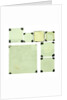 Seven glass slides by unknown