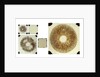 Five double plates of square glass of various sizes by unknown
