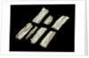 Metal gauze by unknown
